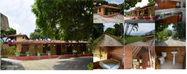 Finca ( vereda el pedrero-sur de amaga )