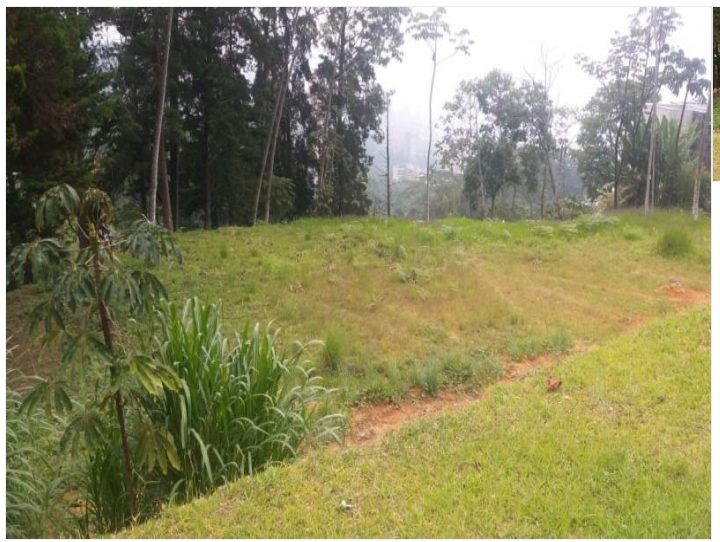 lote (poblado-chuscalito-sur de Medellín)