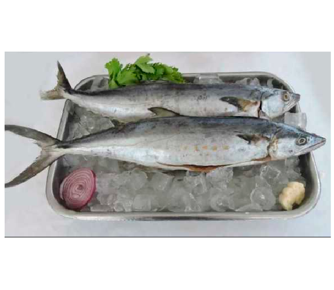 Pescado sierra