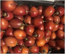 Viaje De Tomate De Árbol