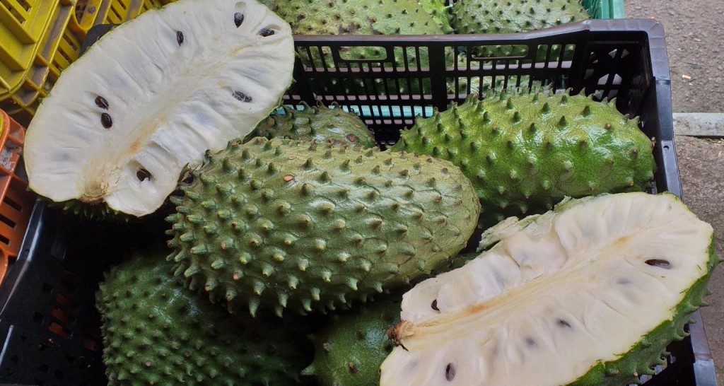 Viaje De Guanabana Selecta