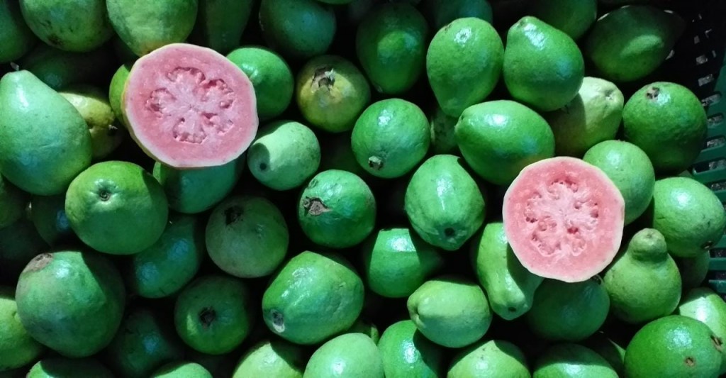 Viaje De Guayaba Pera Primera Calidad