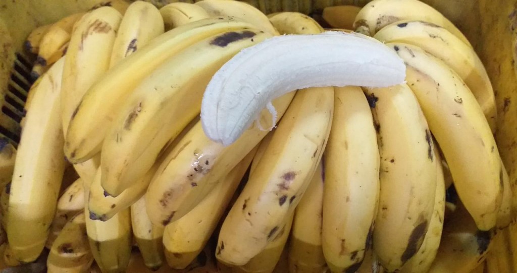 Viaje Banano Criollo