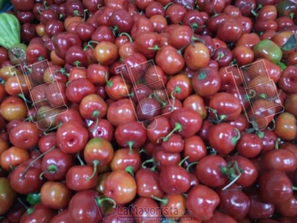 Aji Picante «Rocoto»