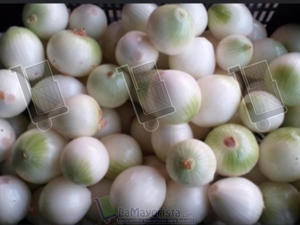 Cebolla Blanca Pelada (2-3und X Lb aprox)