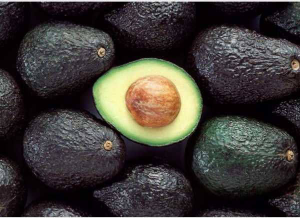 Aguacate Hass