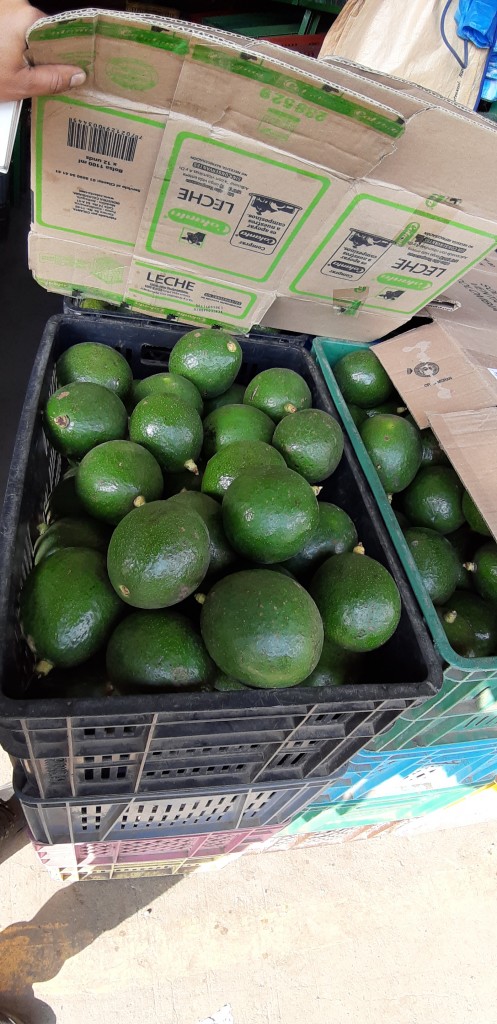 Aguacate booth 7