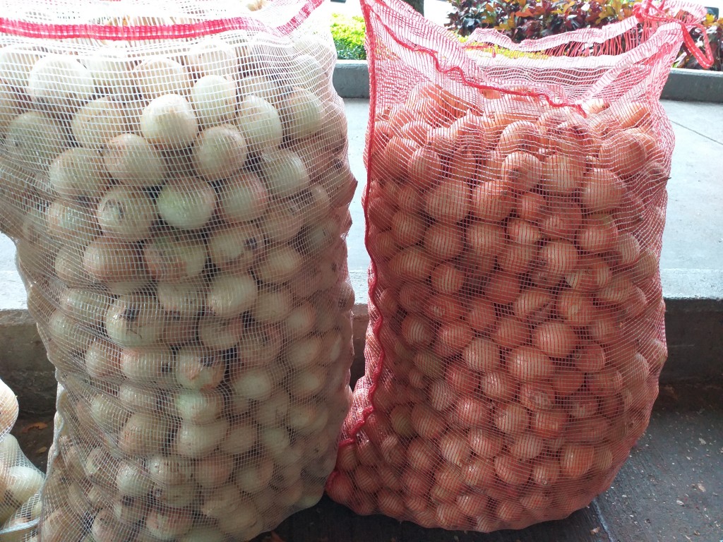 Semillon