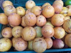 Granadilla