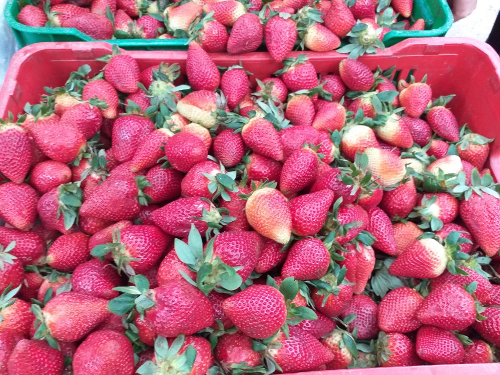 Fresa de primera