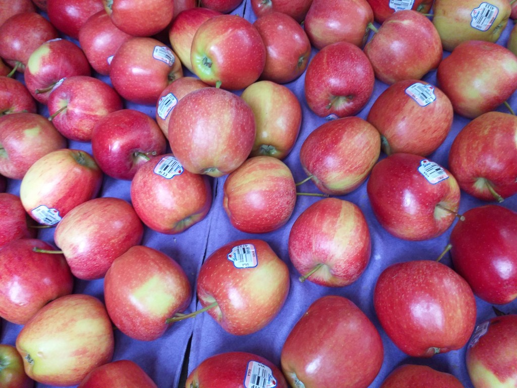 Manzana Gala
