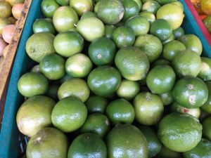 Limon tahiti