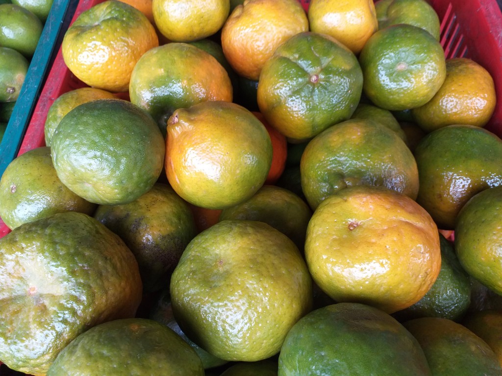 Mandarina gruesa