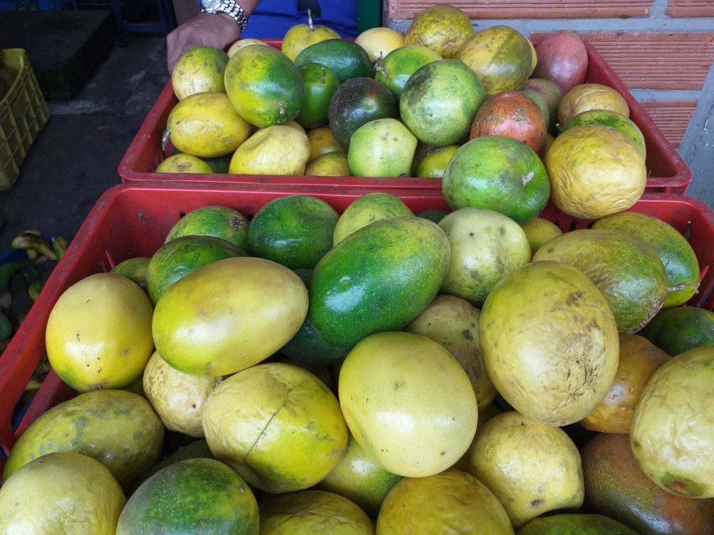 Maracuya de primera