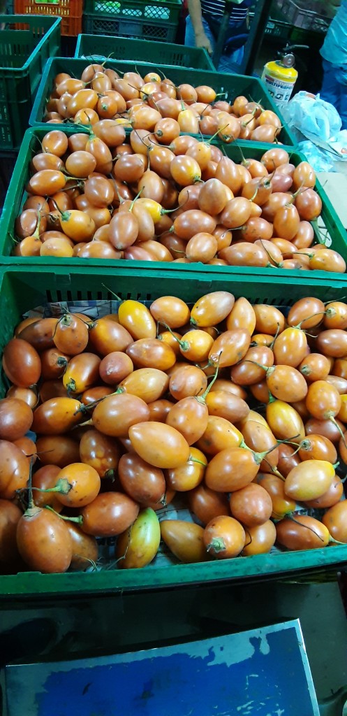 Tomate de árbol 1ra