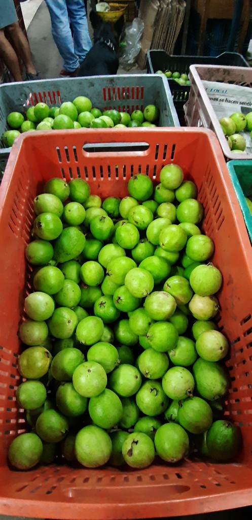 Guayaba pera o dulce