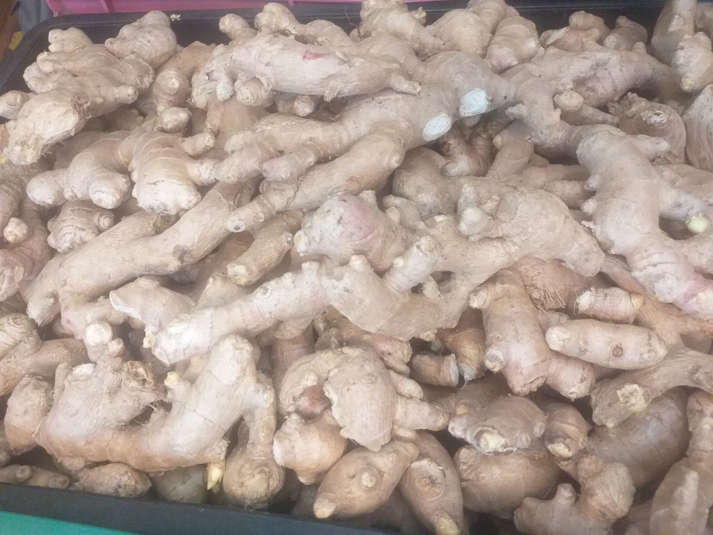 Jengibre