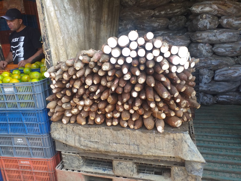 Yuca suelta