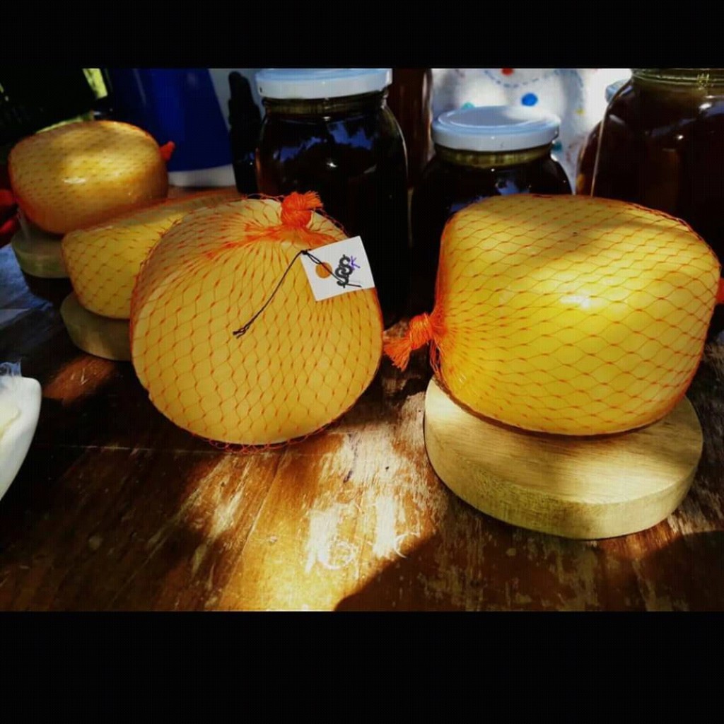 Queso paipa