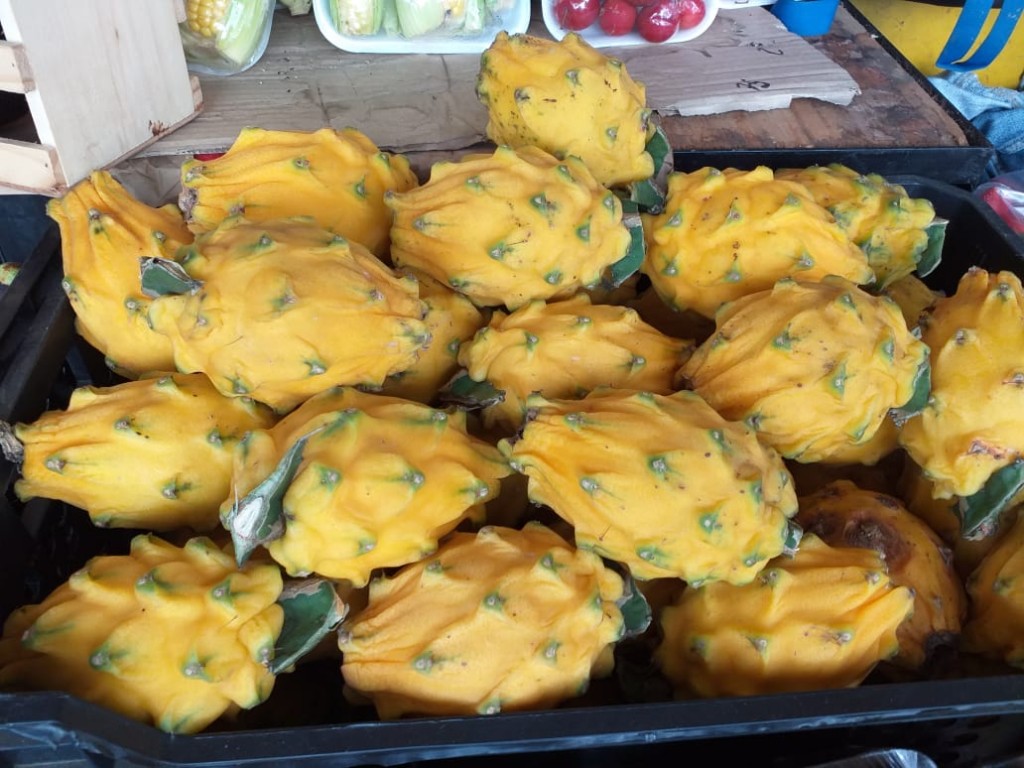Pitahaya
