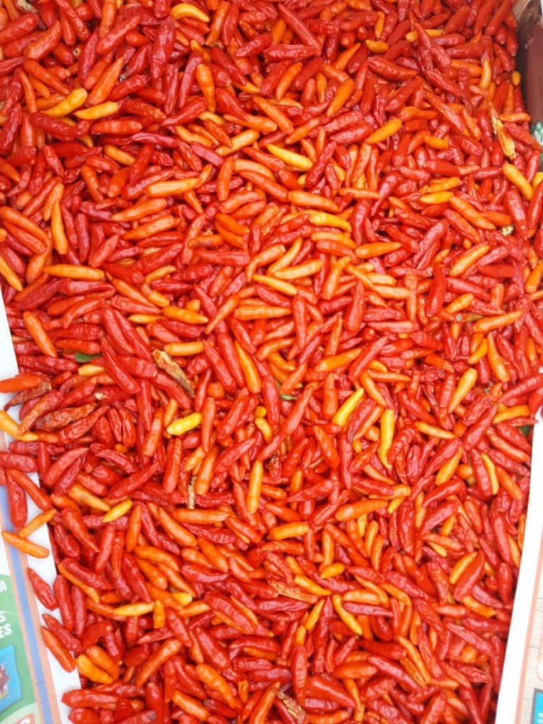AJI TABASCO