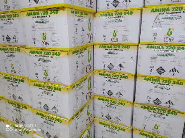 Herbicida Amina  720 24D.