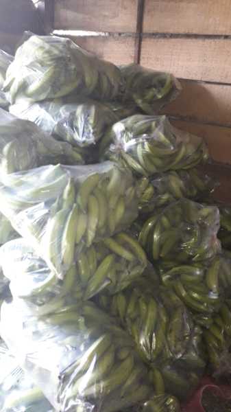 venta de platano al pormayor — foto 2 de 3