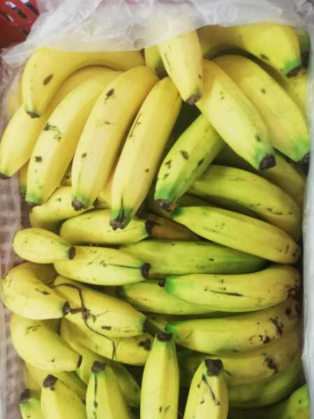 La frutera del banano