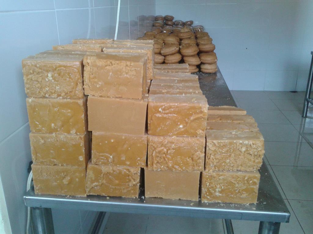 PANELA SANDONEÑA