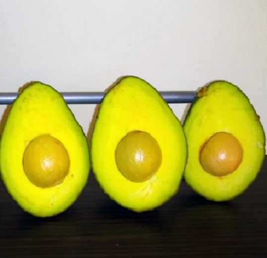 Aguacate Hass