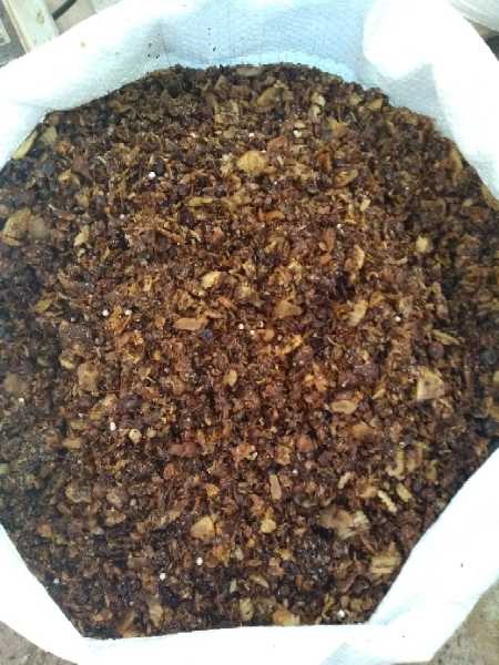 alimento balanceado para bovinos — foto 2 de 2