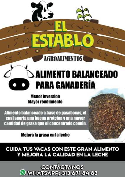 Alimento balanceado