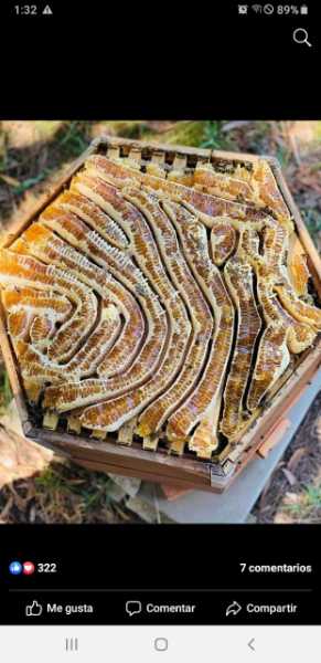 Miel de Abeja