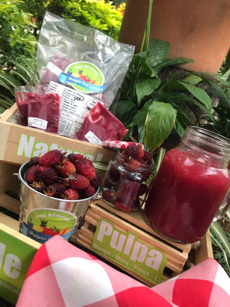 Pulpa de fruta Natural (todos los sabores)