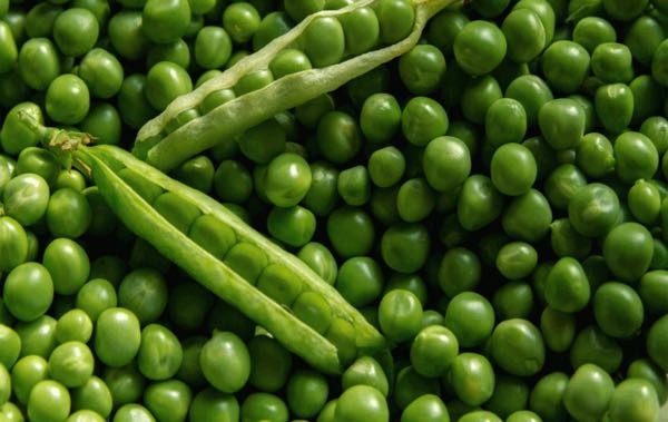 Arveja verde en vaina