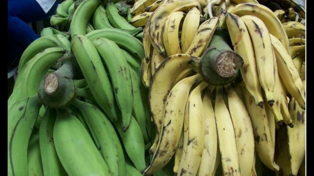 PLATANO SURTIDO