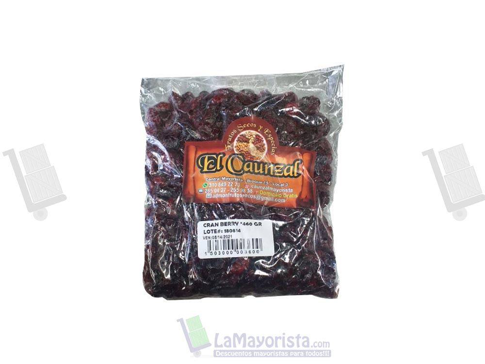 Arándano x 460 gr