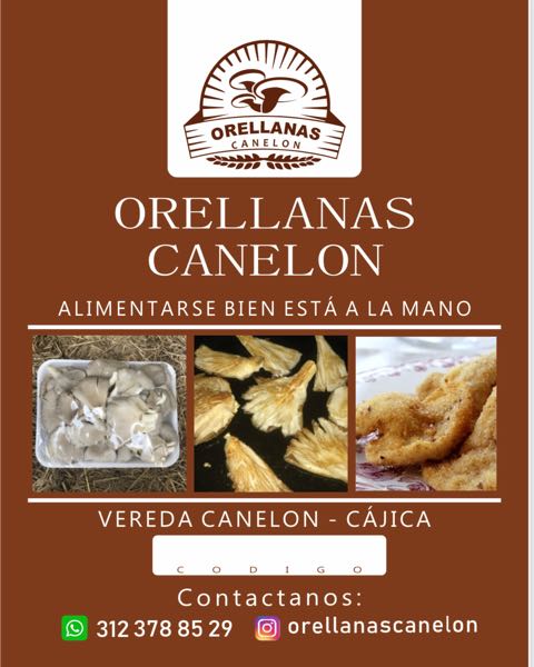 venta de orellana x libra