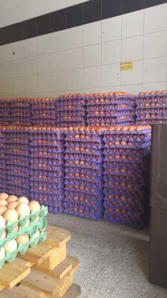 Canasta huevos A 30 unidades