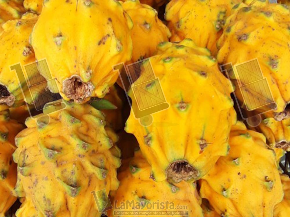 Pitahaya (3und x Lb aprox)