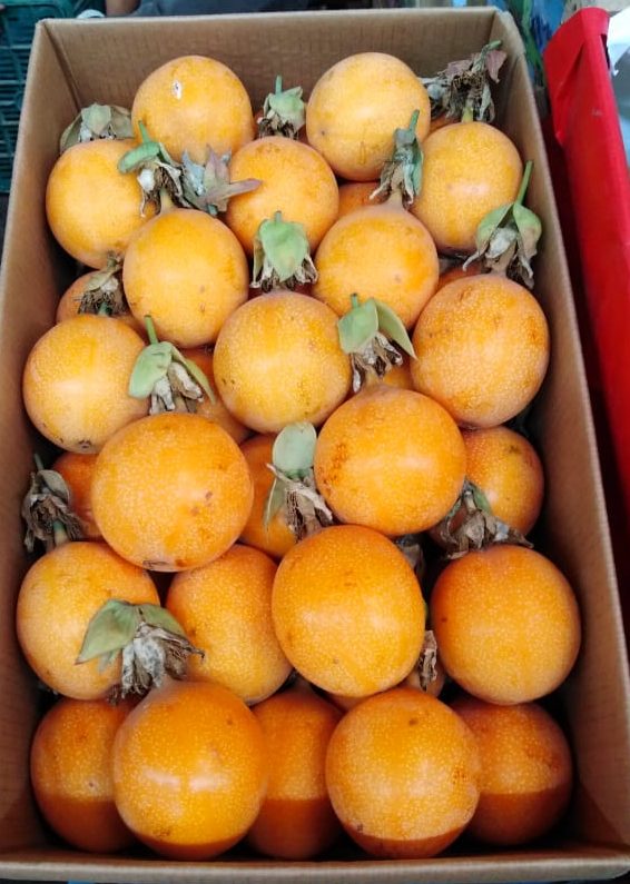 Granadilla Extra