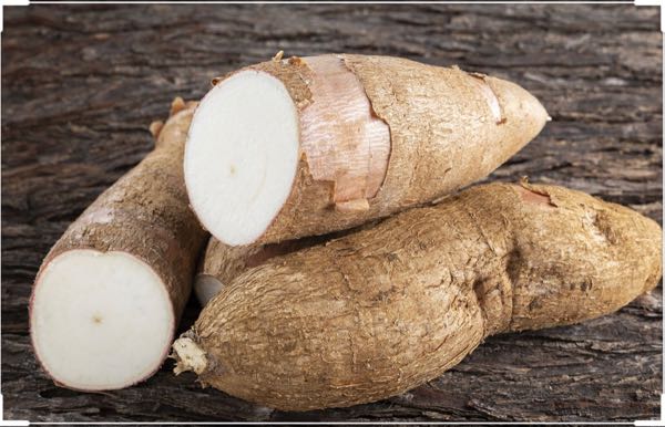 Yuca