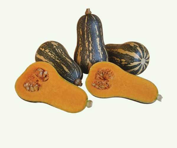Ahuyama
