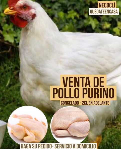 Pollos Congelados !!