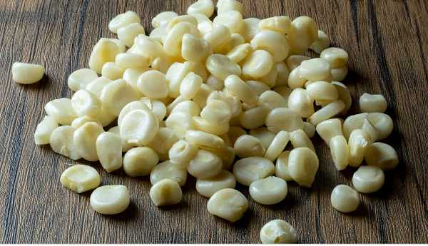 Chocolo desgranado (Mazorca)