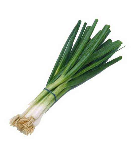 Cebolla De Rama Junca Limpia