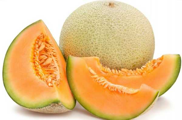 Melón