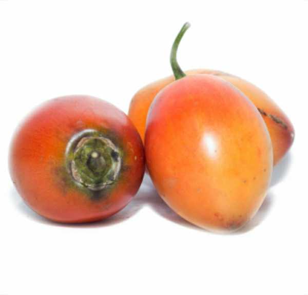 Tomate De Arbol (5 und X Lb aprox)