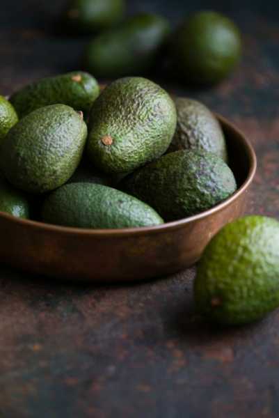 venta y compra de aguacate frutverde  www.frutverde.com