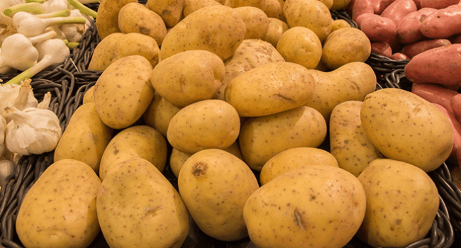Papa pastusa